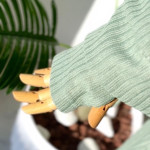 طقم تنوره ٣ قطع